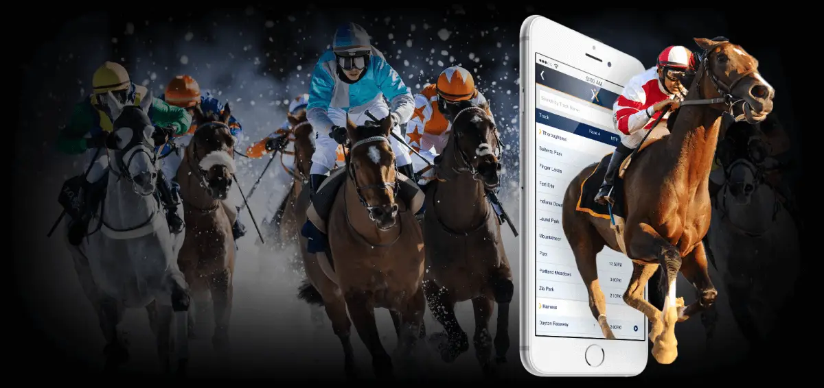 Horse-racing-betting-app-development-services