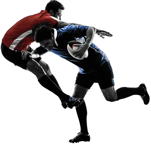 Rugby-betting-software-development-services